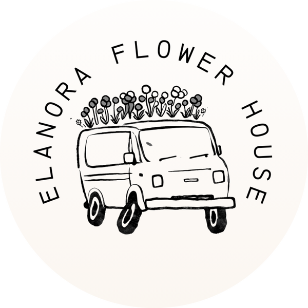 Elanora Flower House