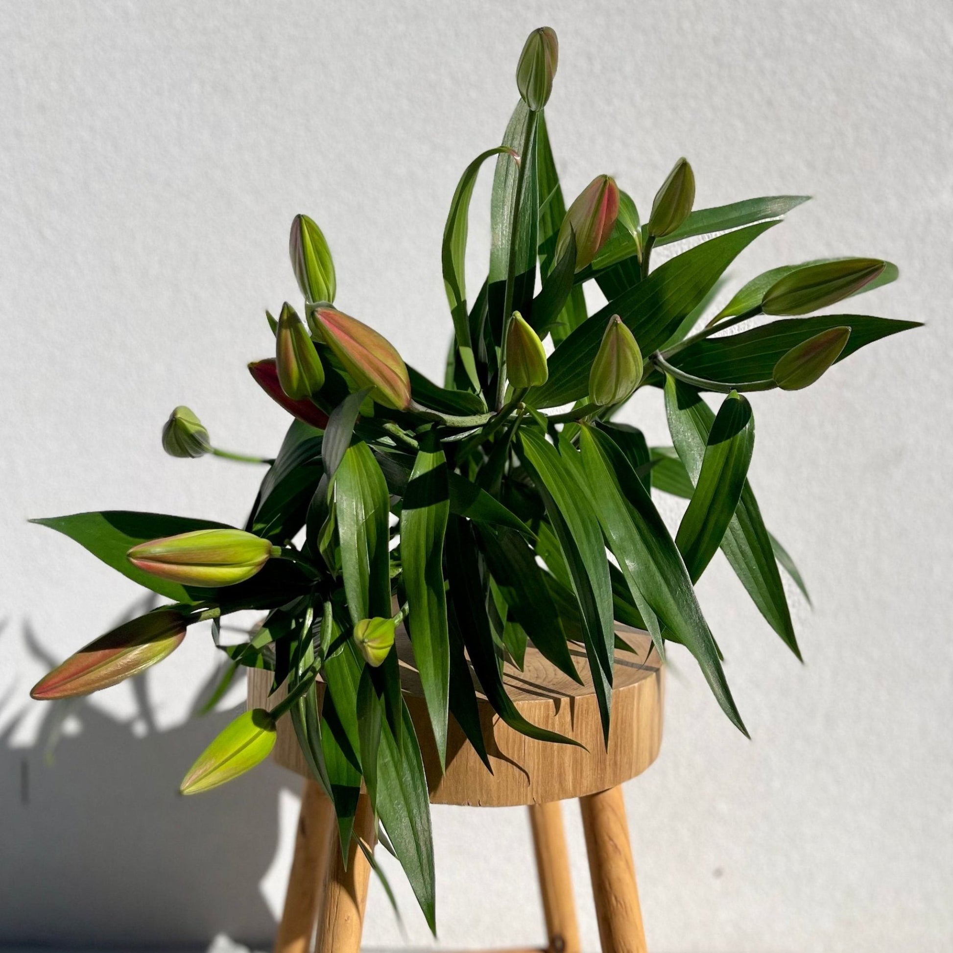 Premium arrangement of  lilies for weddings and events in on the Gold Coast, handcrafted by Elanora Flower House. Florist Palm Beach, Flower delivery Gold Coast, Florist Burleigh Heads.